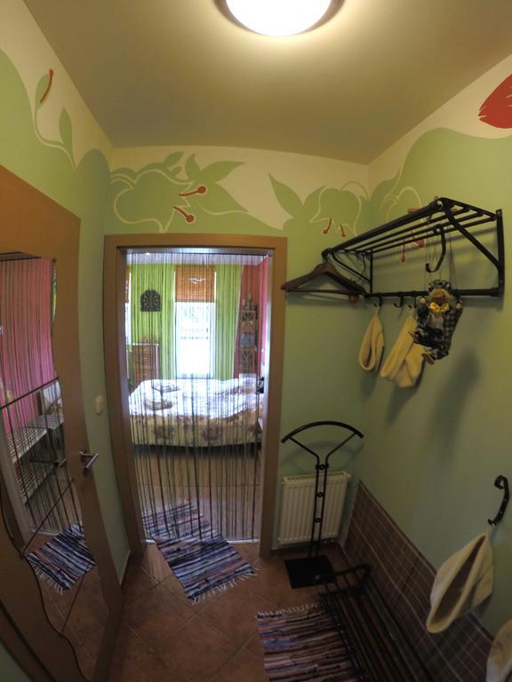 Studio Krusne Hory Klinovec Loučná pod Klínovcem 部屋 写真
