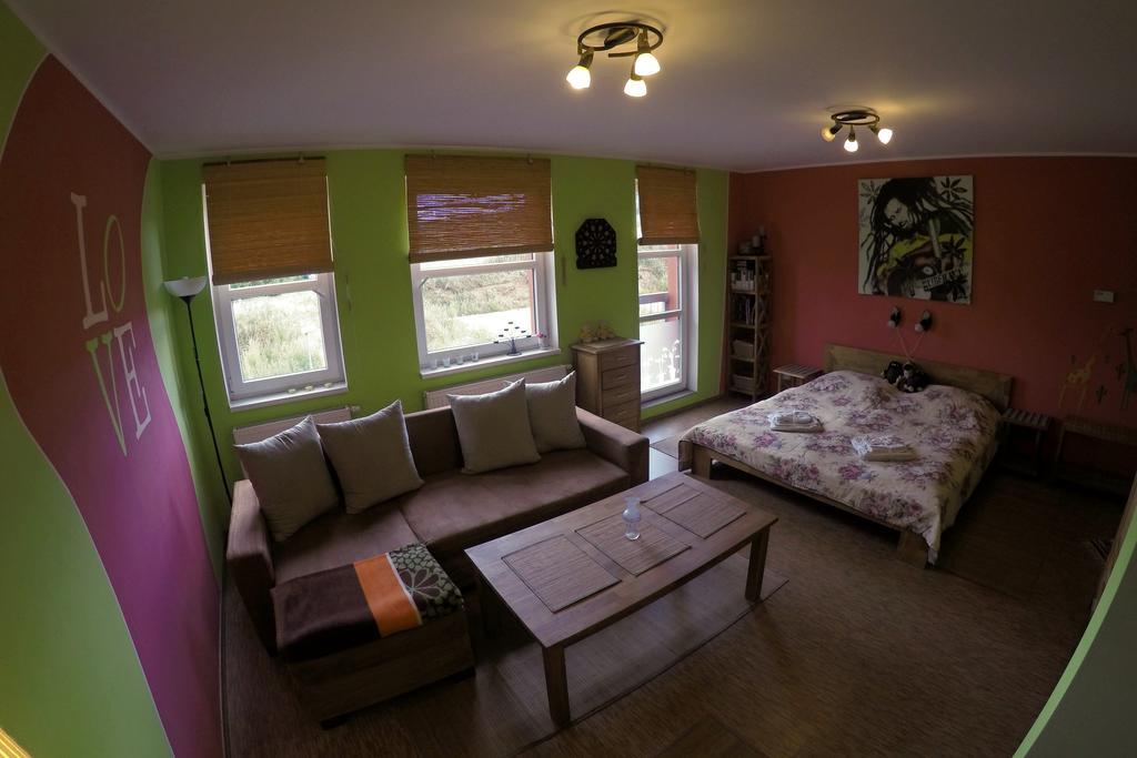 Studio Krusne Hory Klinovec Loučná pod Klínovcem 部屋 写真